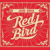 Red Bird