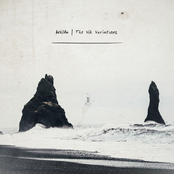 The Vik Variations
