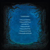 VHSFNDEMOS