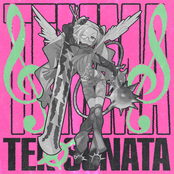 Tek Sonata