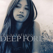 DEEP FOREST