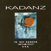 In Het Donker