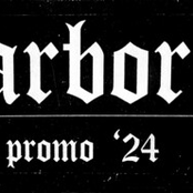 Promo ‘24