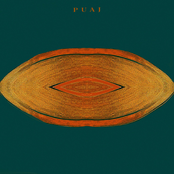 PUAJ