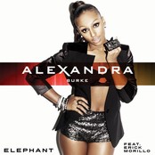 Elephant cover