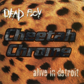 Alive in Detroit