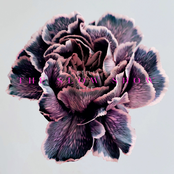 The Slow Show – Still Life