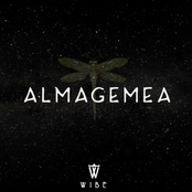 Alma Gêmea