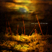 Microcosm