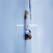 Totem cover