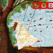 SIKORKI