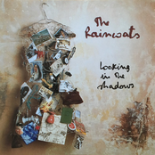 Looking in the Shadows cover