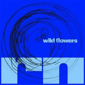 Wild Flowers