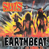 Earthbeat cover
