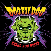 Brand New Breed