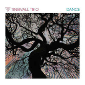 Tingvall Trio – Dance