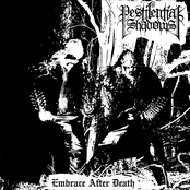 Embrace After Death