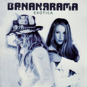 Exotica cover