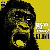Orangutang!
