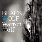 Black Wolf