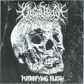 Putrefying Flesh