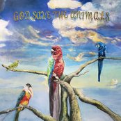 God Save the Animals by Alex G