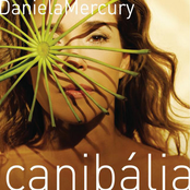 Canibália cover