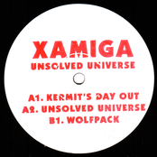 Unsolved Universe