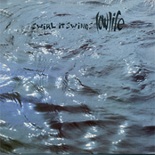 Swirl, It Swings