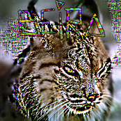 Pixelinx