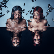 Piranha cover