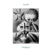 Pebble