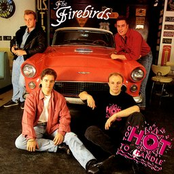 The Firebirds – Too Hot To Handle