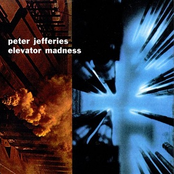 Elevator Madness