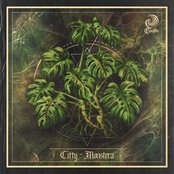 Monstera