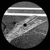 Concrete Grounds
