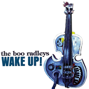 Wake Up Boo!