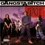 Gangsta Bitch
