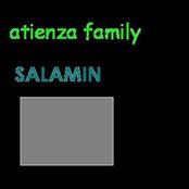 Salamin