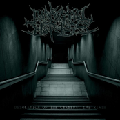 Desolation Of The Cerebral Labyrinth