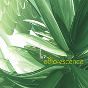 efflorescence