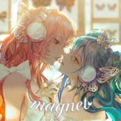 magnet -recall-