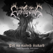 Pyl na našych ščakach (Early Recordings 2005-2008)