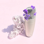She Used To Sing