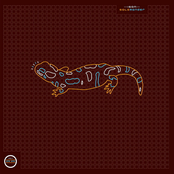 Salamander