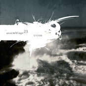 Assemblage 23 – Storm