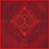 Animist
