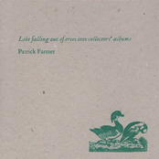 Like Falling Out Of Trees Into Collector's Albums