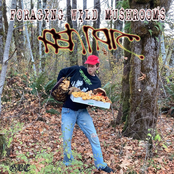 foraging wild mushrooms