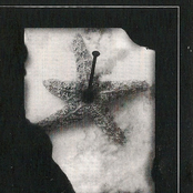 Crucifixion